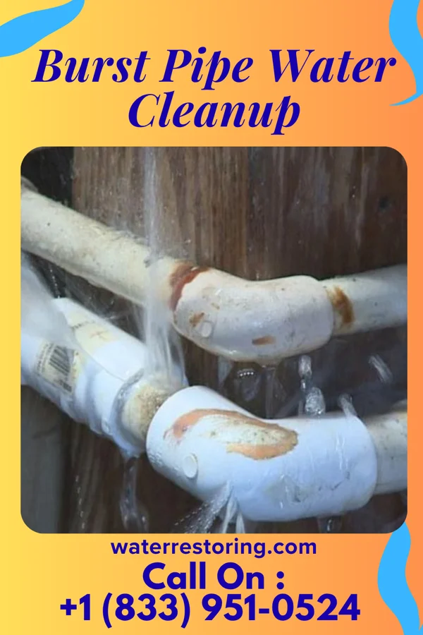 Burst Pipe Water Cleanup in Rio, WI