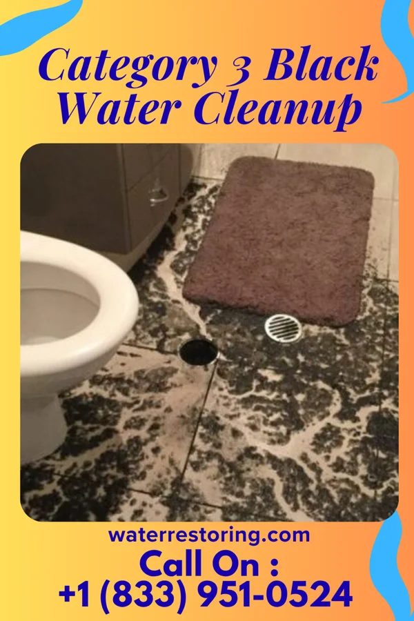 Category 3 Black Water Cleanup in Rio, WI