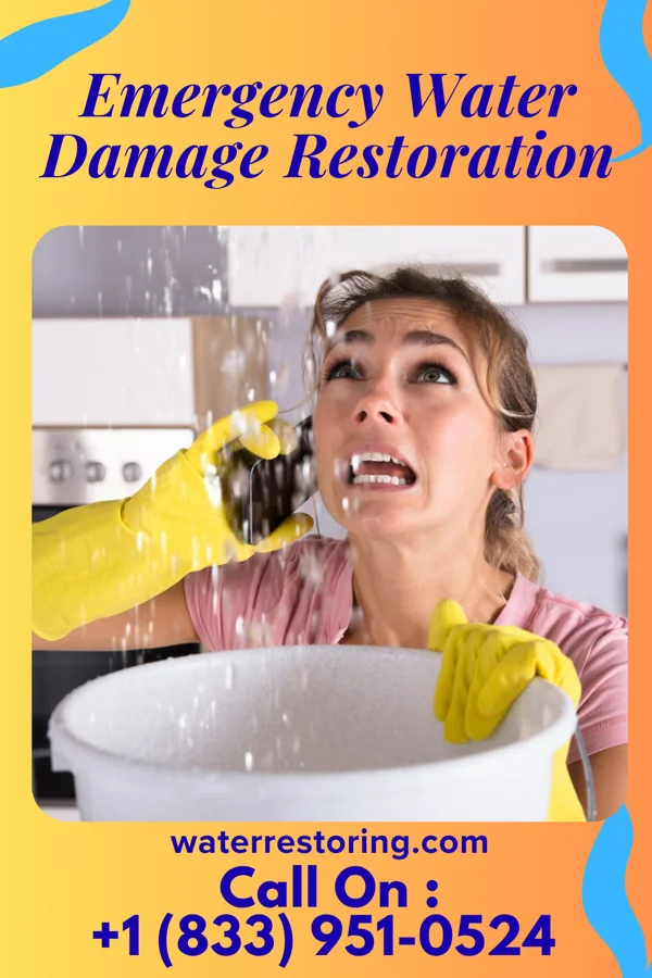Emergency Water Damage Restoration in Rio, WI
