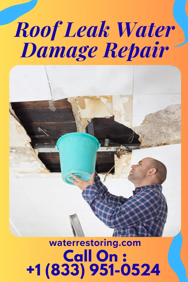 Roof Leak Water Damage Repair in Rio, WI